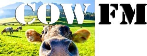 COW FM - Casino - 107.9 FM (AAC)