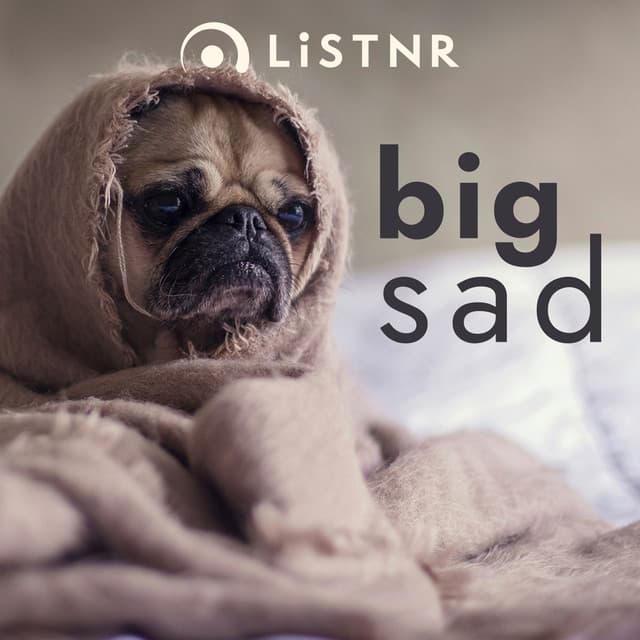 LiSTNR - big sad (HLS)