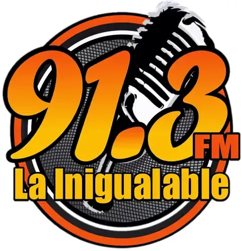  LA INIGUALABLE 91.3 (Amatepec) - 91.3 FM - XHPAMM-FM - Amatepec, Estado de México