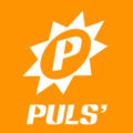 PulsRadio 90's